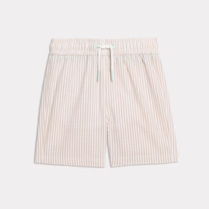 Striped Swim Shorts (2-8 Yrs)